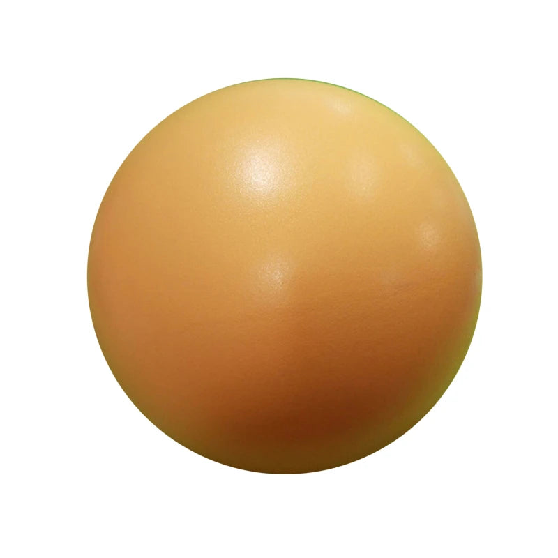 New 25cm Yoga Ball Exercise Gymnastic Fitness Pilates Ball Balance Exercise Gym Fitness Yoga Core Ball Indoor Training Yoga Ball - Sun Studio
