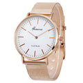 2025 New Famous Brand Silver Casual Geneva Quartz Watch Women Metal Mesh Stainless Steel Dress Watches Relogio Feminino Clock - Sun Studio
