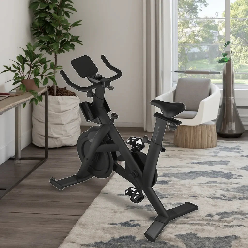 Smart Home Gym Machine High Quality Multi-Purpose Metal Gym Equipment with Music Wheel for Home Use - Sun Studio