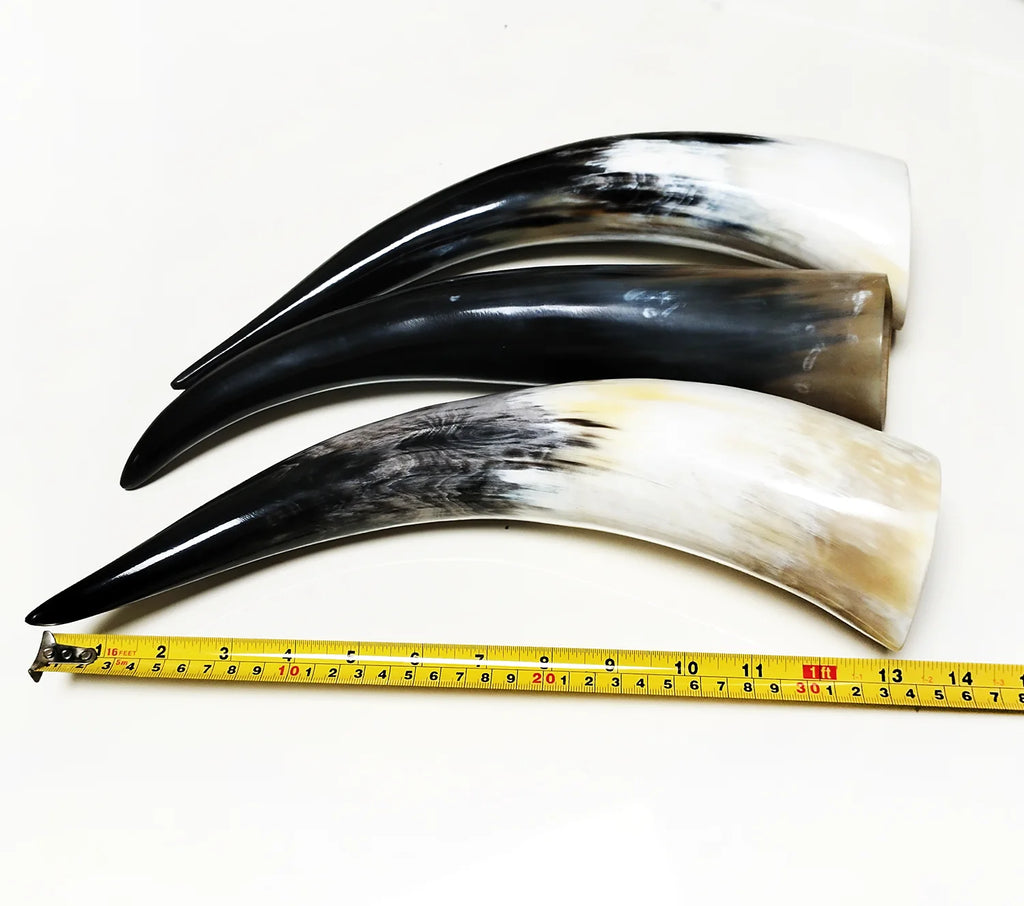 30-50CM Genuine Yak Horn Black Massage Buffalo Horn Viking Drinking Horn Mugs Standing Cylinder Scraping Tube Home Decor - Sun Studio