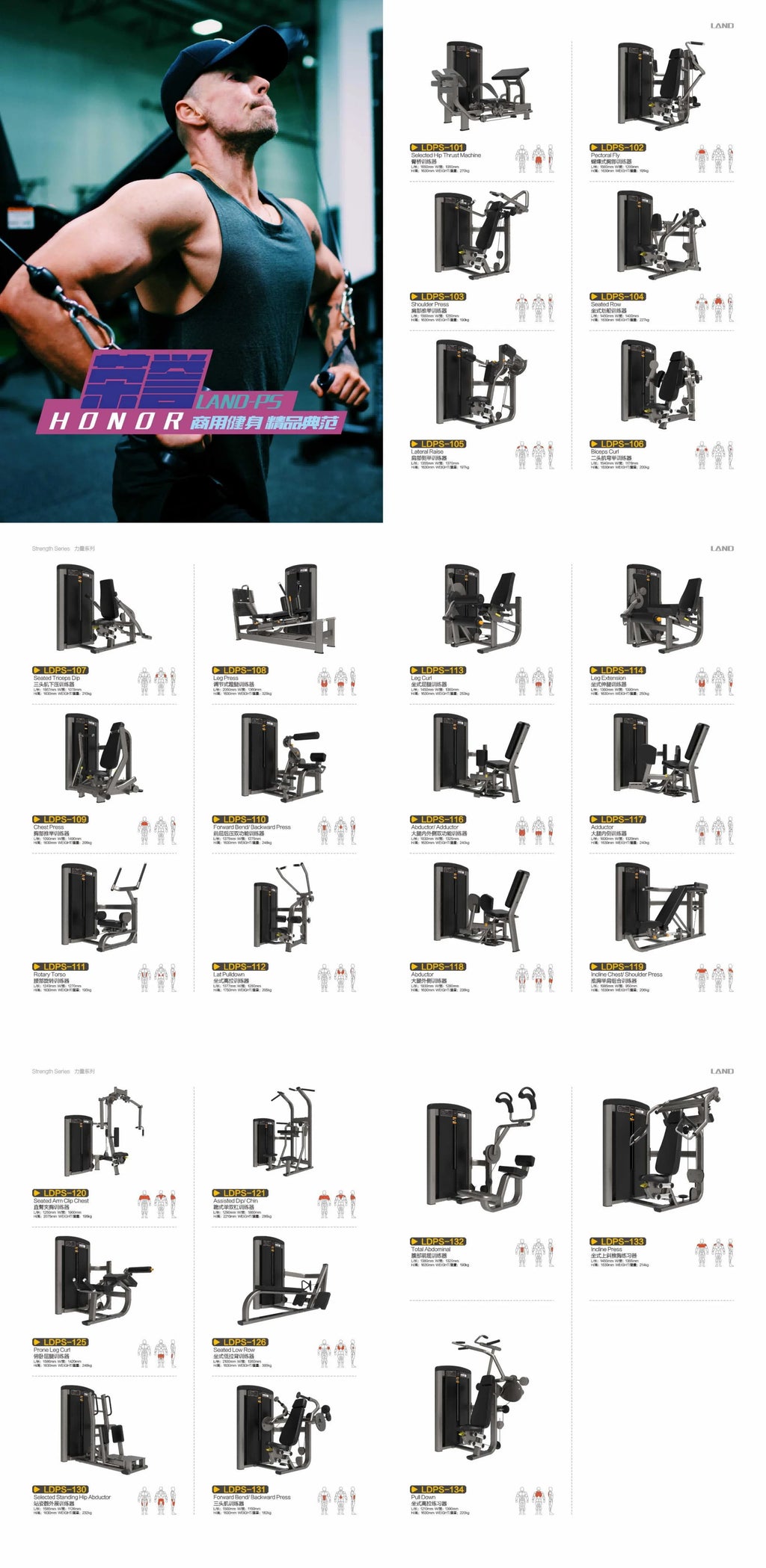 Quality Fitness Gym Equipment Horizontal Pulley Seated Low Row Machine - Sun Studio