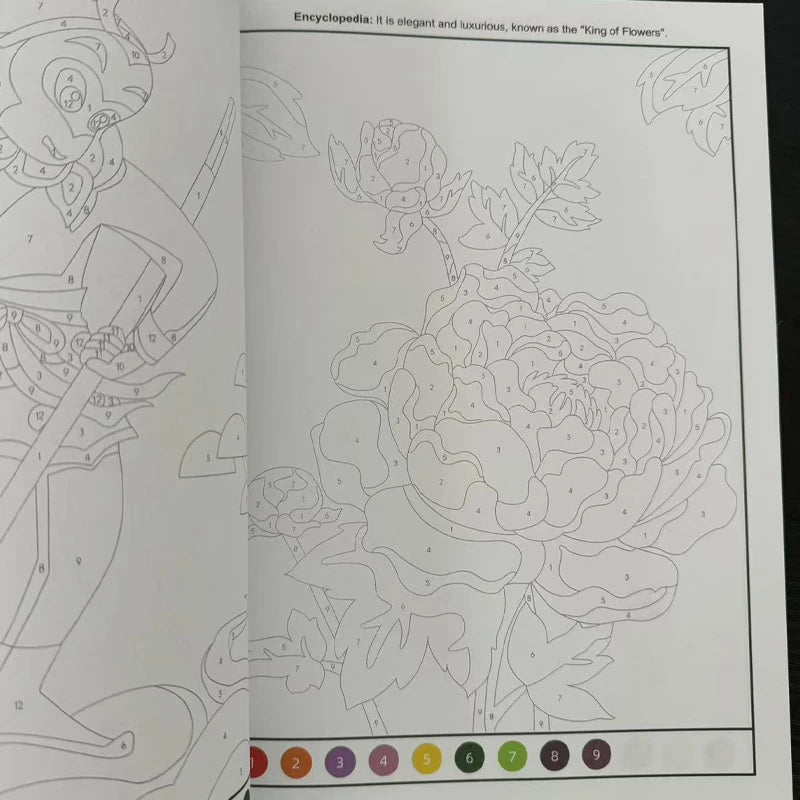 48 Pages Fun Coloring Activities Sketching Graffiti Beginners To Draw Containing Animals Flowers Castles Children Aged 3-8 - Sun Studio
