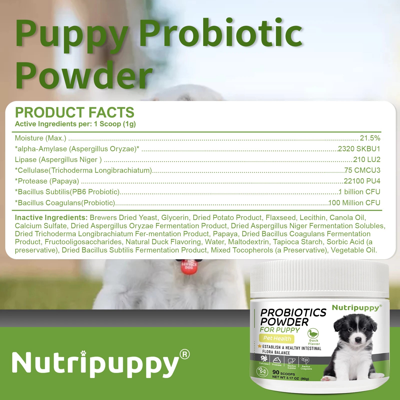 Dog Probiotic Powder Supplement - Supports Digestive Health&Relieves Diarrhea,Boosts Immune System for Puppy Adult Senior Dogs - Sun Studio