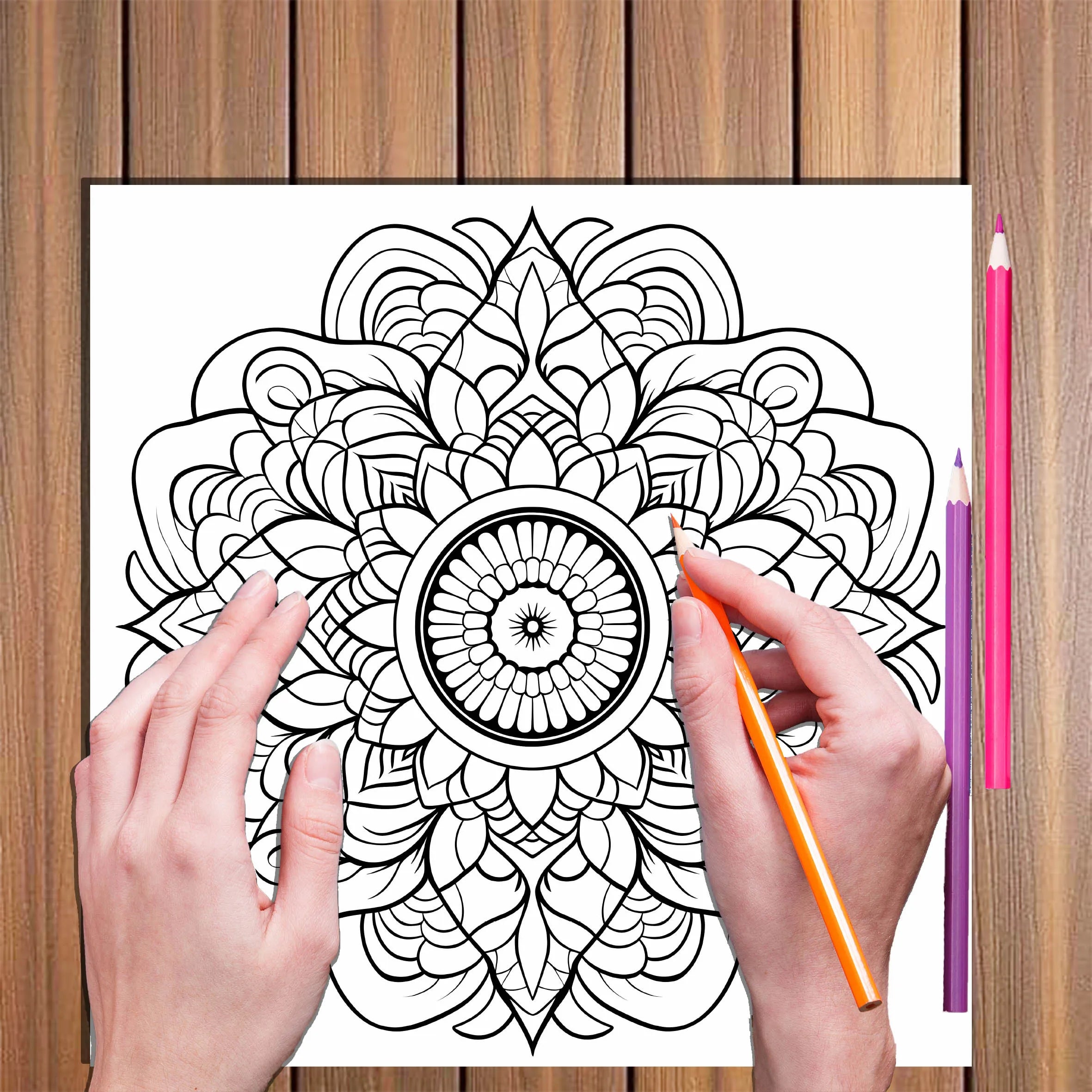 Mandalas Coloring Book for Adults: Stress Relief Adult Picture Book for Creative Color Practice - Sun Studio
