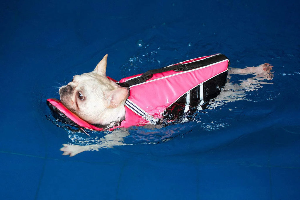 Reflective Dog Life Jacket Vest Removable Neck Float High Buoyancy Dogs Swimming Clothes, Pet Safety Swimsuit for Dog Cat - Sun Studio