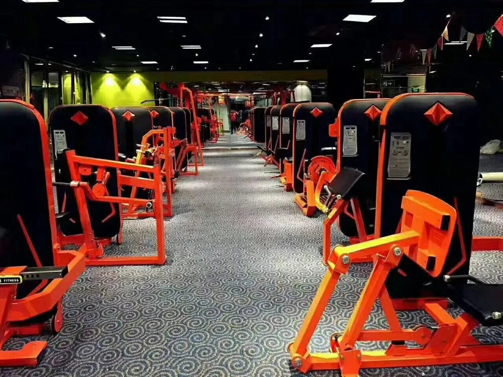Strength Training Gym Machine Gym Use Equipment Rotary Torso Rotation Machine - Sun Studio