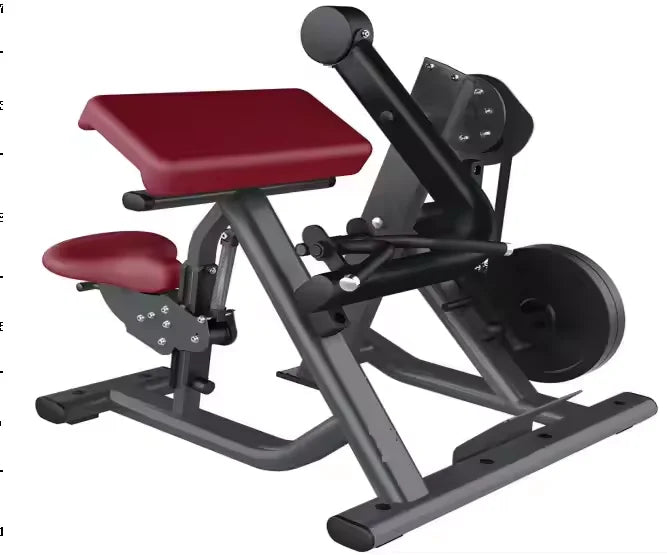 Gym Use Fitness Equipment Other Sports Training Device Arm Curl Training Back Shoulder Biceps Exercise Machine - Sun Studio