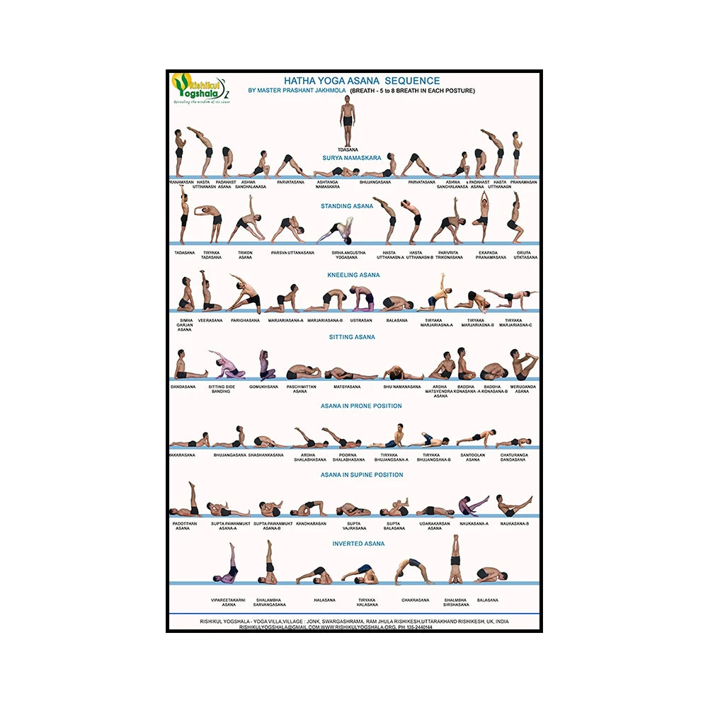 Gym Yoga Studio Workout Detailed Action Chart Pose Canvas Poster Bodybuilding Wall Art Painting Prints Home Room Decor Murals - Sun Studio