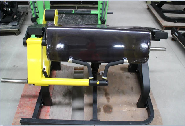 Gym Equipment Strength Training Arm Extension Biceps Curl Machine For Gym Center - Sun Studio