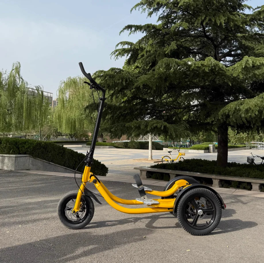 SRJOINFIT Step Bike Fitness Bike Upright Bike Fitness Cycling Tricycle Fitness Step Bike - Sun Studio