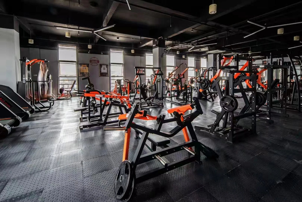 Shizhuo High End Commercial Plate Loaded Gym Fitness Equipment Machine Dumbbell Rack-Double - Sun Studio