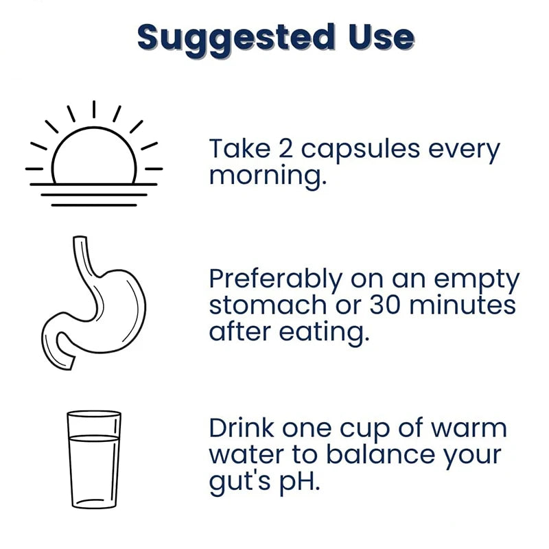 Probiotic Supplement - Gut Health, Supports Weight Management, Immune Health, Improves Digestion, Improves Mood, Relaxation - Sun Studio