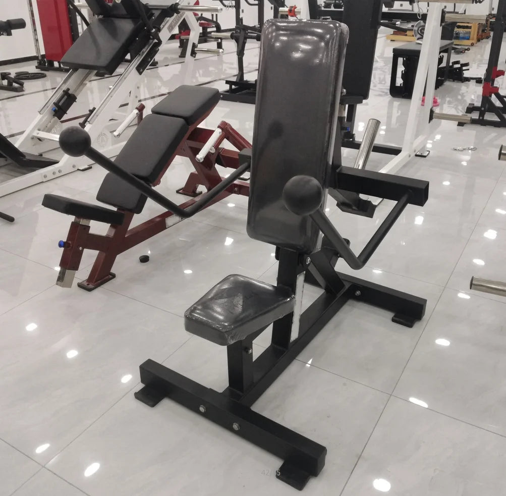 Gym Plate Loaded Strength Machine Arms Exercise Equipment Seated Dips Gym Station Triceps Kickback Dip - Sun Studio