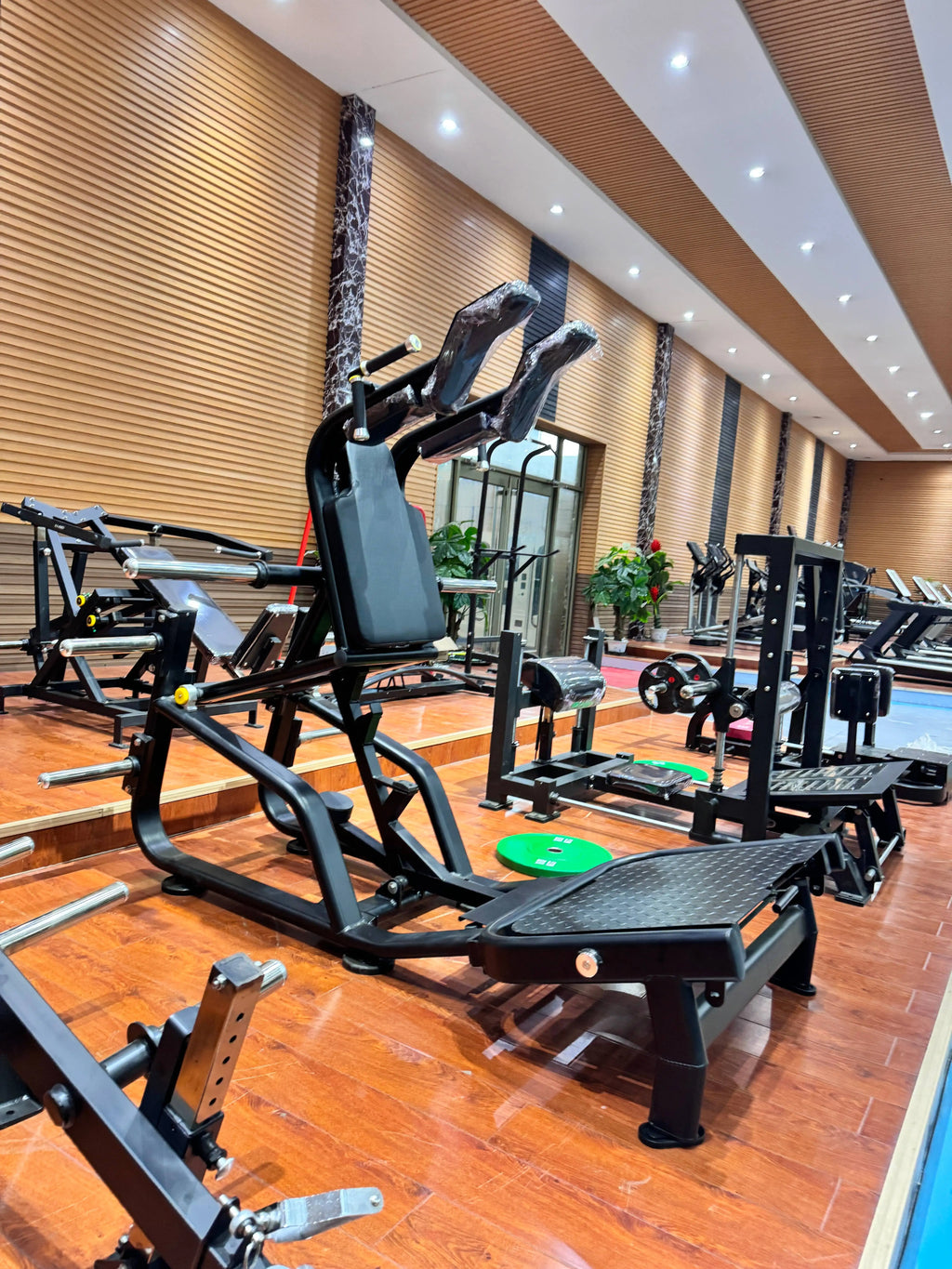 Strength Training Commercial Use Gym Equipment Fitness Gym Machines Super Squat For Gym Center - Sun Studio