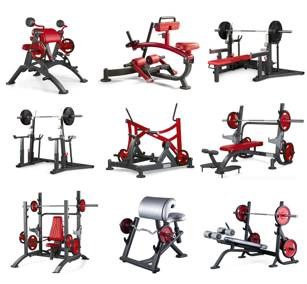Gym strength equipment Chest pushing and high back training  and lying posture device commercial multi-functional leg flexion - Sun Studio