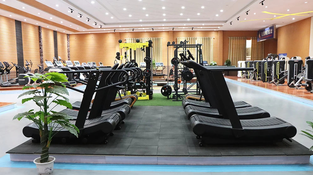 Strength Training Gym Machine Gym Use Equipment Rotary Torso Rotation Machine - Sun Studio