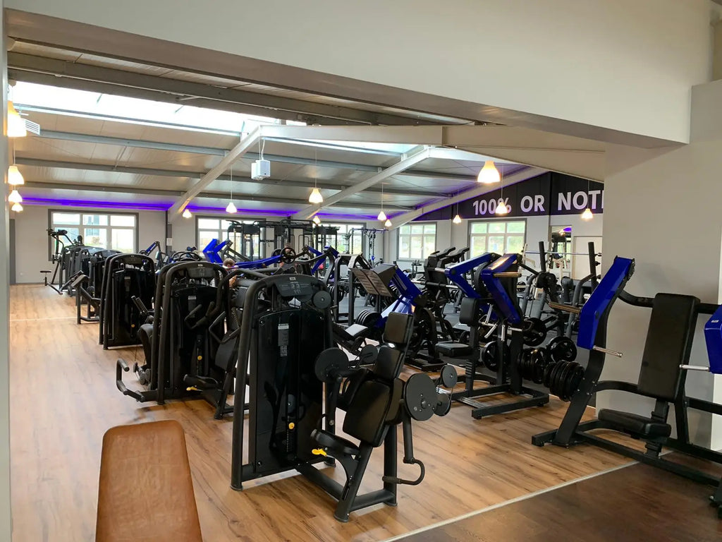 Professional Commercial Fitness Gym Equipment Adjustable Safety Durable Plate Loaded Strength Training Back Exercise Seated Row - Sun Studio