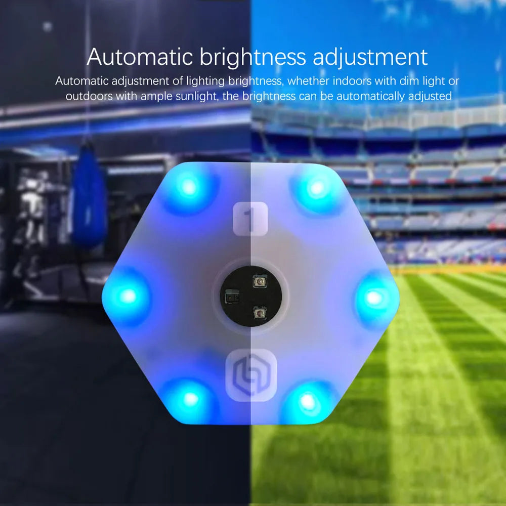Reactionx Training Light Lamp, Speed agility, Response Equipment, Basketball, Soccer, Tennis, Fitlight, Blazepod, Badminton - Sun Studio