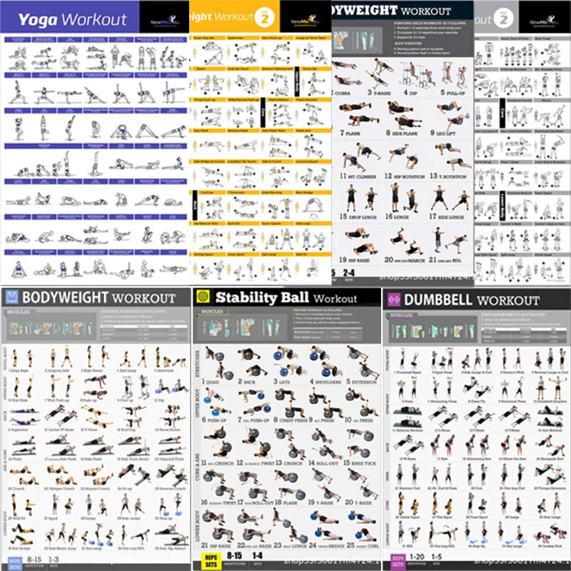 Gym Posters for Home Gym Decor Workout Poster Fitness Training Murals Exercise Equipment Barbells Strength Training Yoga Poster - Sun Studio