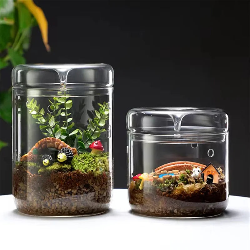 Glass Bottles Creativity Dew Collection Glass Vase Micro Landscape Succulent Moss Landscape Glass Terrarium Home Decor - Sun Studio