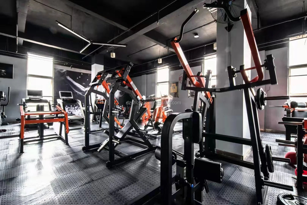 Shizhuo High End Commercial Plate Loaded Gym Fitness Equipment Machine Dumbbell Rack-Double - Sun Studio