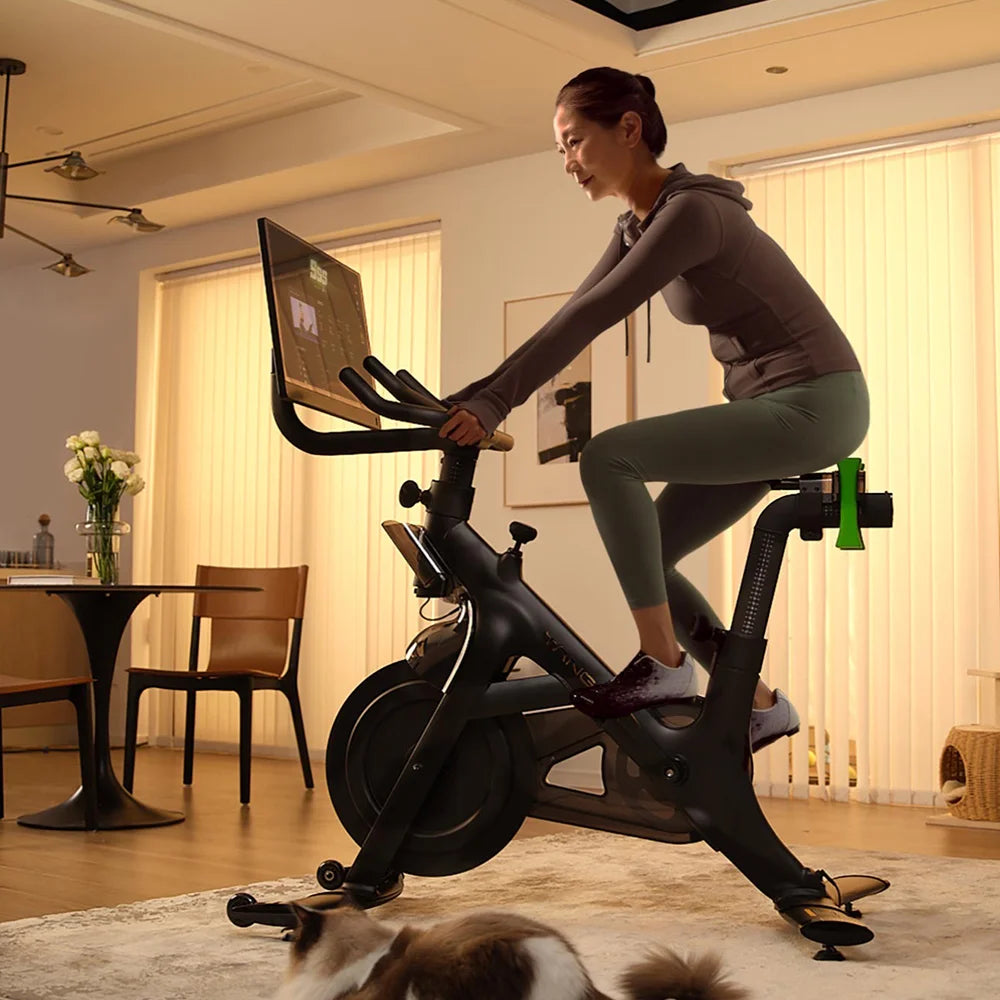 Home Gym Fitness Indoor Cycling Trainer Bike Stationary Workout Bike with Metal Material for Home Use - Sun Studio