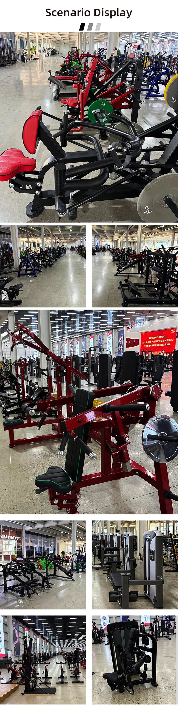 Indoor Fitness Equipment: Gym Bench Press, Leg Extension, Chest Press, Back Pull Training Machine - Sun Studio