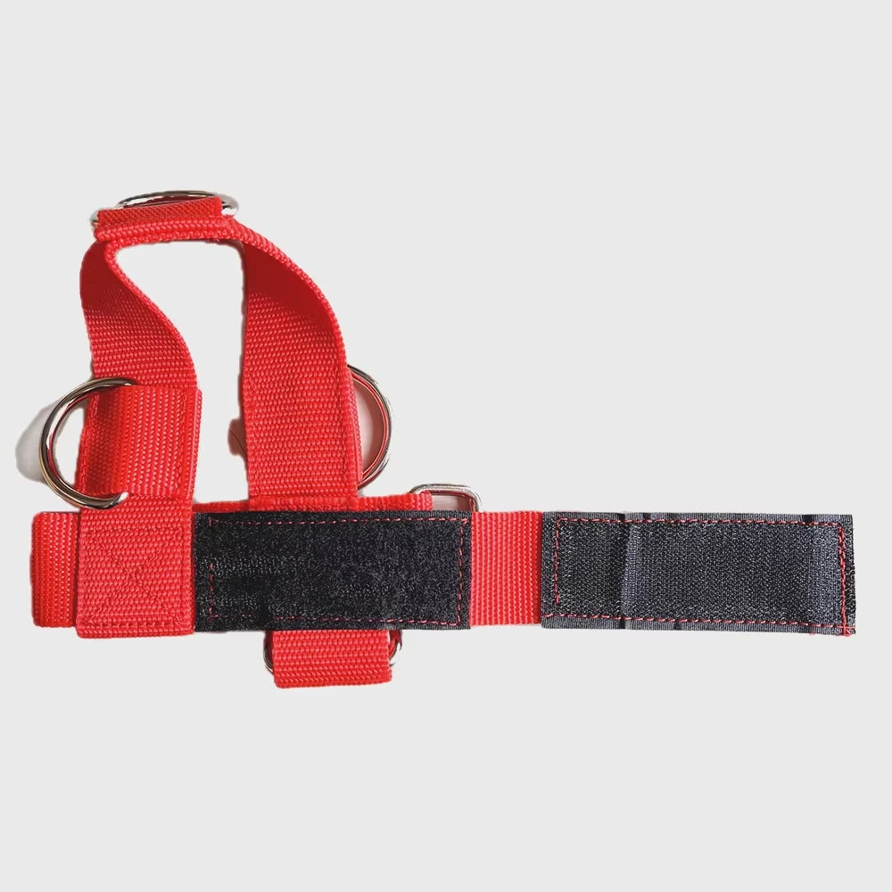 1 PC Ankle Straps gym Fitness Anklet Sports Anklet Foot Buckle Ankle Weights gym Ankle Shackles Bodybuilding Resistance Strap - Sun Studio