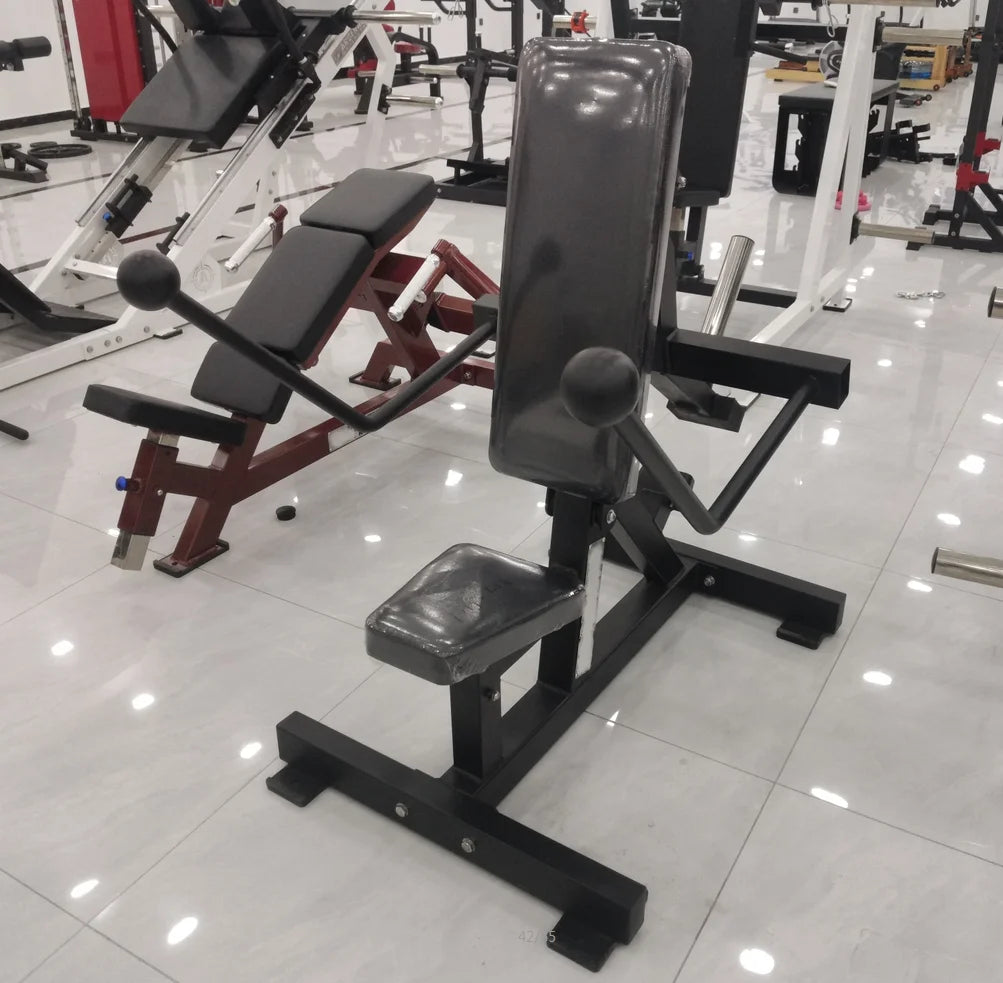 Gym Plate Loaded Strength Machine Arms Exercise Equipment Seated Dips Gym Station Triceps Kickback Dip - Sun Studio