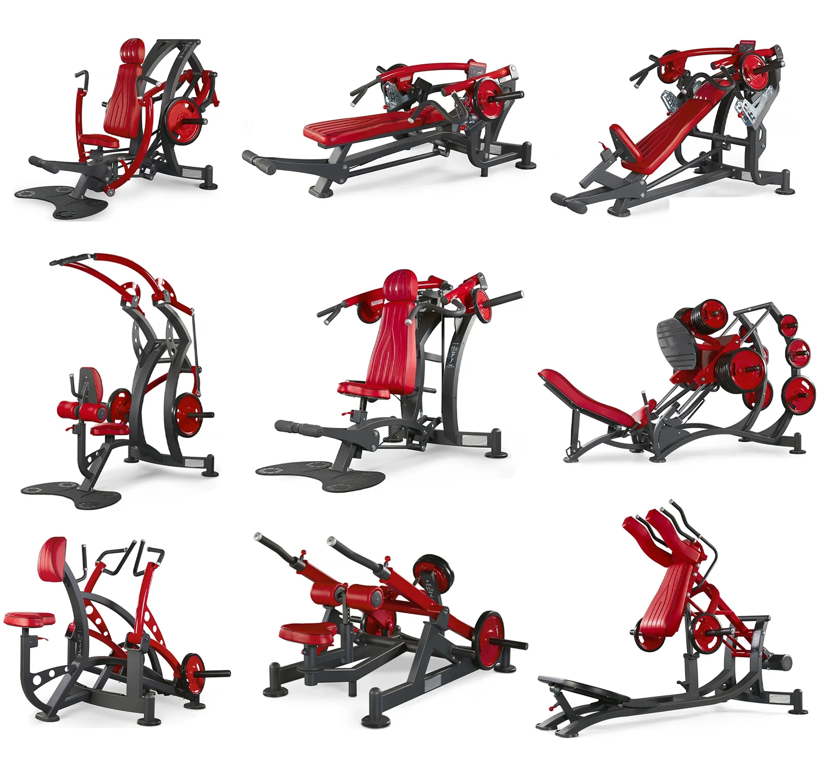Gym strength equipment Chest pushing and high back training  and lying posture device commercial multi-functional leg flexion - Sun Studio