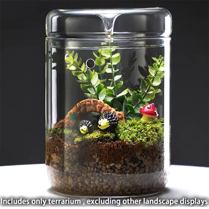 Glass Bottles Creativity Dew Collection Glass Vase Micro Landscape Succulent Moss Landscape Glass Terrarium Home Decor - Sun Studio