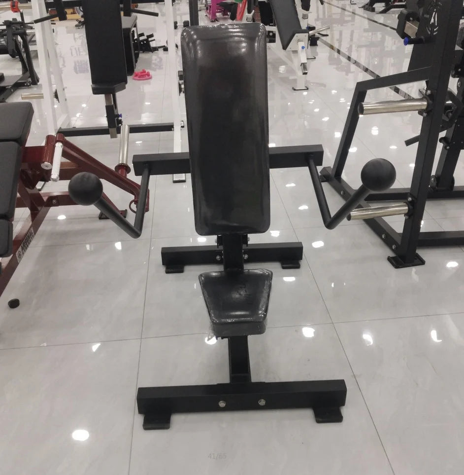 Gym Plate Loaded Strength Machine Arms Exercise Equipment Seated Dips Gym Station Triceps Kickback Dip - Sun Studio