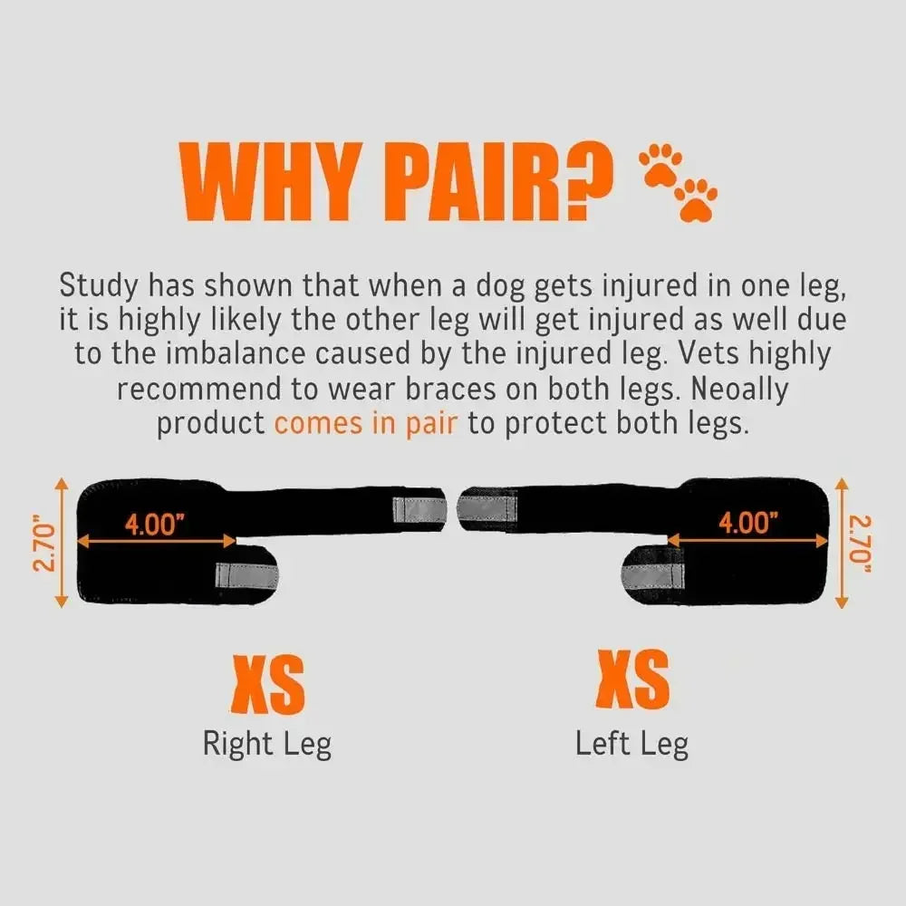 1PC Portable Metal Strips Dog Front Leg Brace Reflective Strips Adjustable Straps Knee Brace Non-Slip Breathable ACL Support - Sun Studio