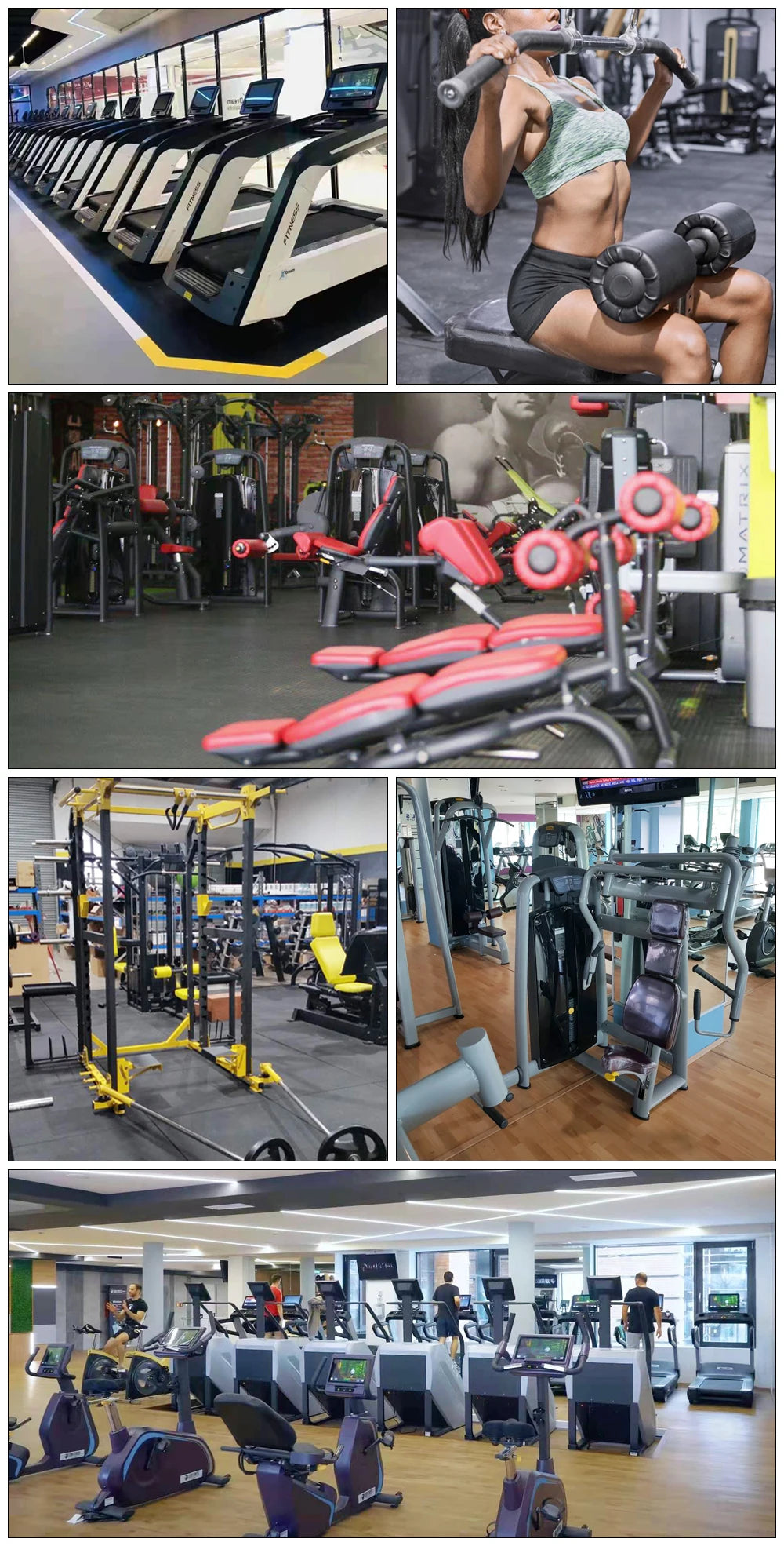 Professional Commercial Fitness Gym Equipment Adjustable Safety Durable Plate Loaded Strength Training Back Exercise Seated Row - Sun Studio