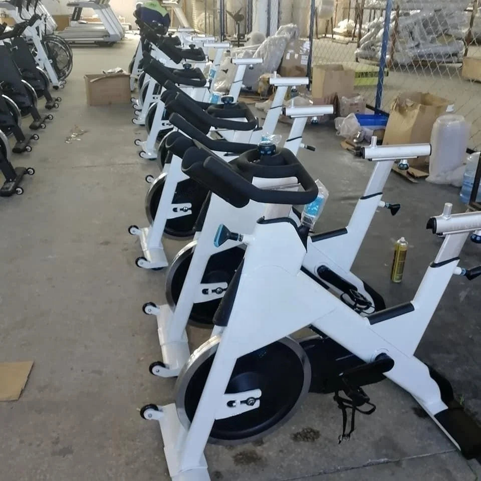 Exercise Bike Home Gym Equipment Commercial Spinning Bike Cardio Training Spinning Bike - Sun Studio