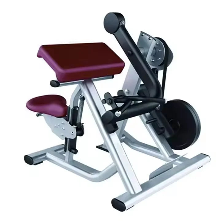 Gym Use Fitness Equipment Other Sports Training Device Arm Curl Training Back Shoulder Biceps Exercise Machine - Sun Studio