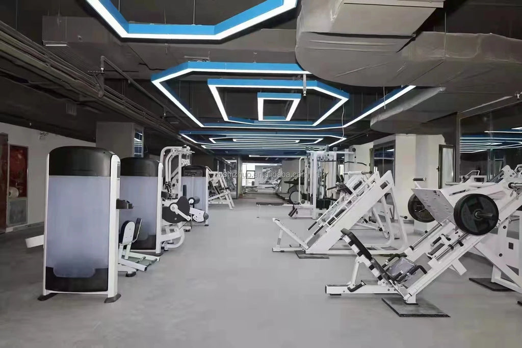 Shizhuo High End Commercial Plate Loaded Gym Fitness Equipment Machine Dumbbell Rack-Double - Sun Studio