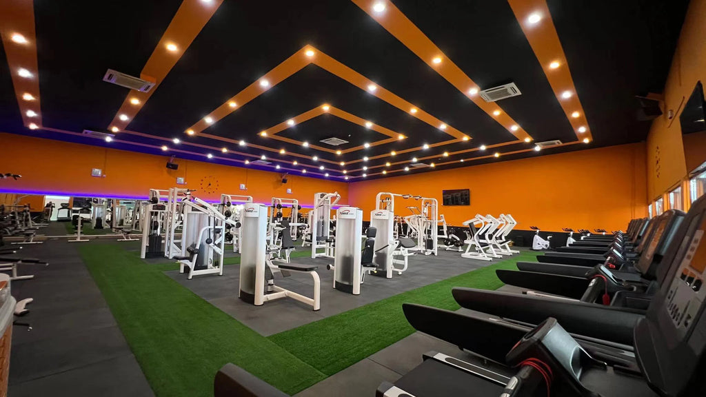Gym Equipment Commercial Use Arm Exercise Muscle Training Alternate Triceps Machine For Club - Sun Studio