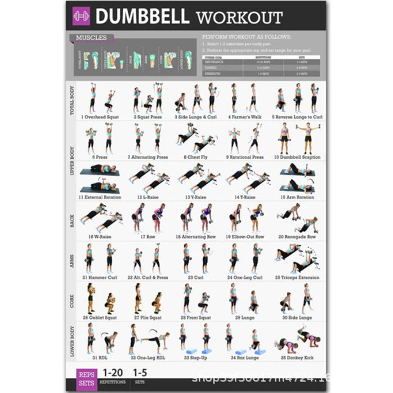 Gym Posters for Home Gym Decor Workout Poster Fitness Training Murals Exercise Equipment Barbells Strength Training Yoga Poster - Sun Studio