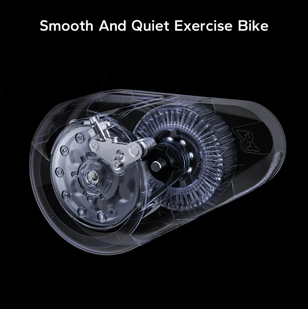 Indoor Trainer Bike Home Gym Stationary Indoor Cycling Spin Workout for Exercise Looking for Global Merchants - Sun Studio