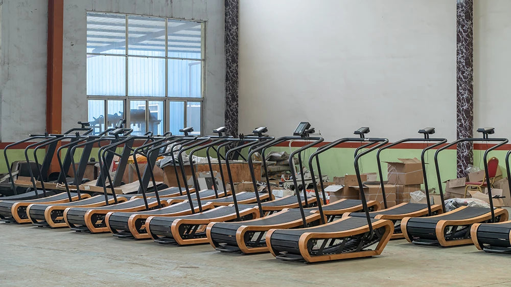 Gym Equipment Strength Training Arm Extension Biceps Curl Machine For Gym Center - Sun Studio