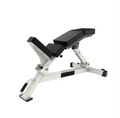 Body Building Gym Fitness Equipment Strength Trainer Waist Exercise Incline Adjustable Lumbar Incline Bench - Sun Studio