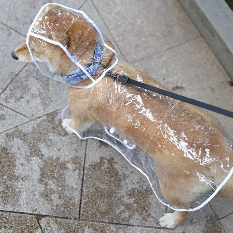 Pet Dog Puppy Transparent Rainwear Raincoat Pet Hooded Waterproof Jacket Clothes Soft PVC Small Dogs Raincoat Puppy Rain Poncho - Sun Studio
