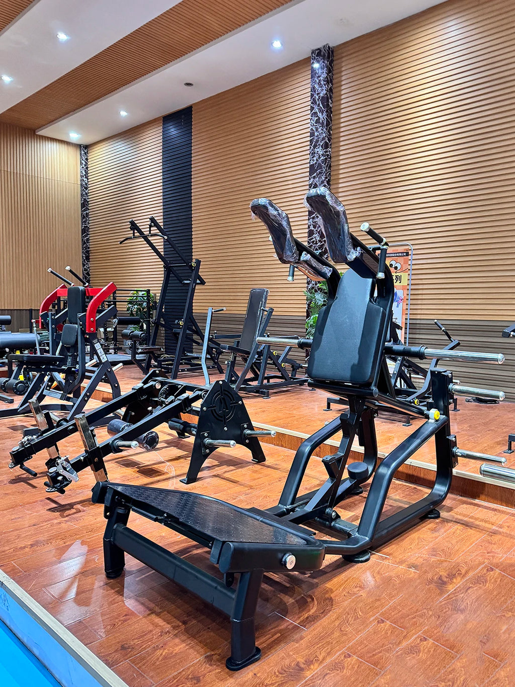 Strength Training Commercial Use Gym Equipment Fitness Gym Machines Super Squat For Gym Center - Sun Studio