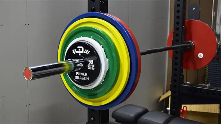 Gym Weight Sled For Home Fitness Training For Workout And Bodybuilding Exercises - Sun Studio