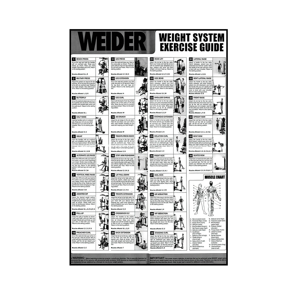 Gym Yoga Studio Workout Detailed Action Chart Pose Canvas Poster Bodybuilding Wall Art Painting Prints Home Room Decor Murals - Sun Studio