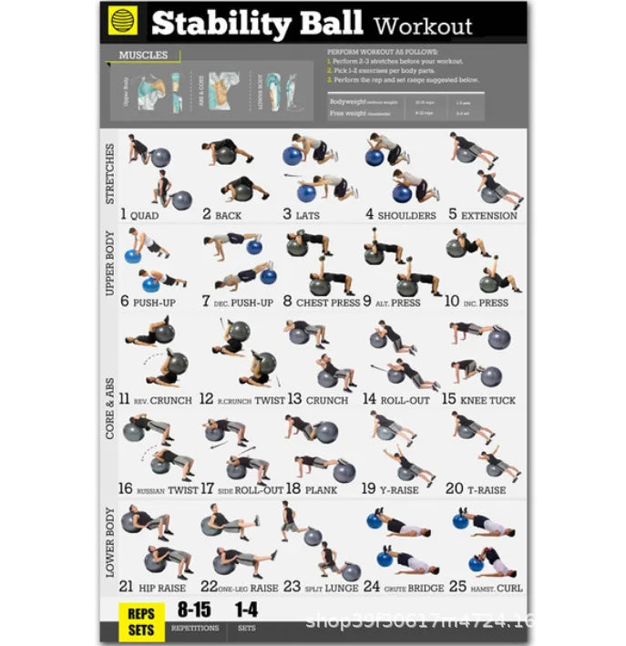 Gym Posters for Home Gym Decor Workout Poster Fitness Training Murals Exercise Equipment Barbells Strength Training Yoga Poster - Sun Studio
