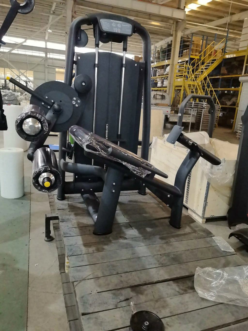 Dual Function Gym Fitness Equipment Strength Training Pin Loaded Gym Equipment Seated Leg Curl & Leg Extension - Sun Studio