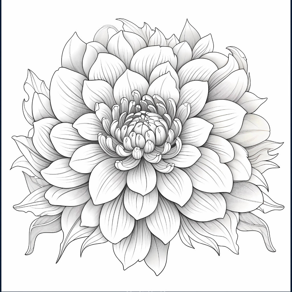 Mandalas Coloring Book for Adults: Stress Relief Adult Picture Book for Creative Color Practice - Sun Studio