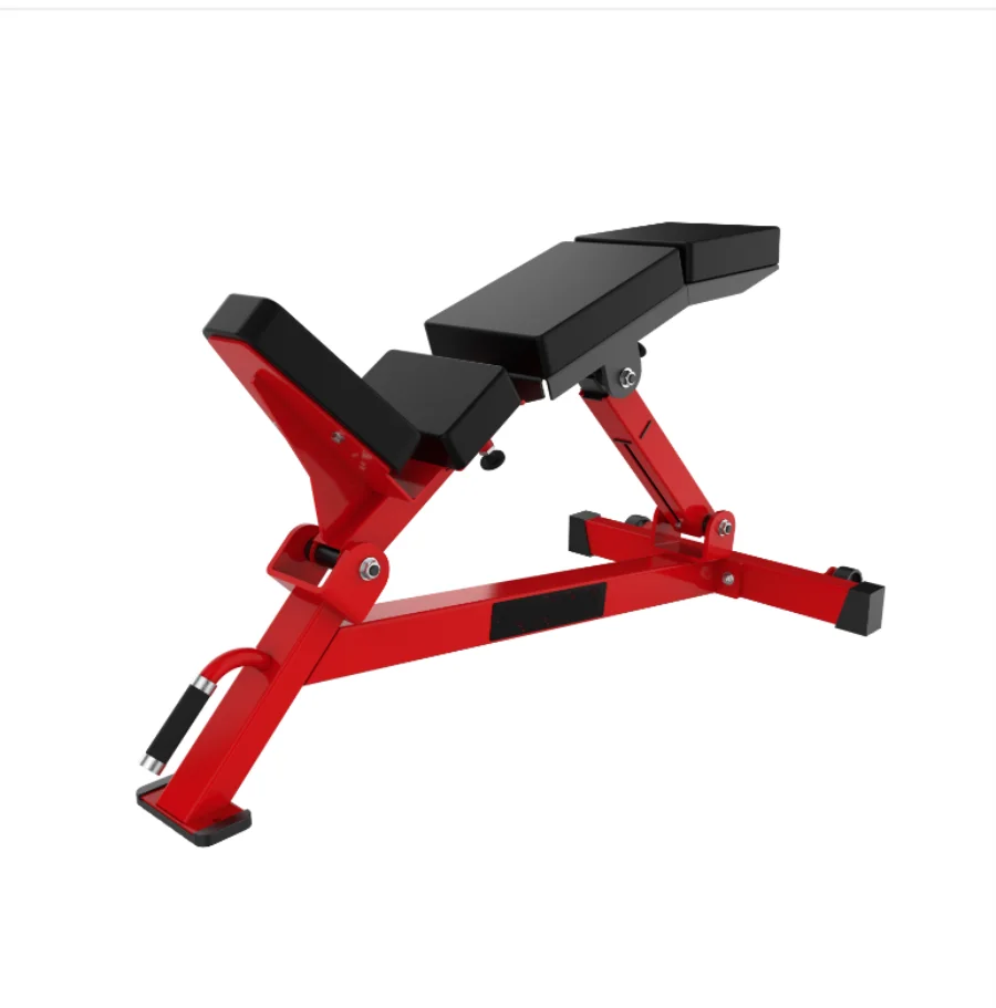 Body Building Gym Fitness Equipment Strength Trainer Waist Exercise Incline Adjustable Lumbar Incline Bench - Sun Studio